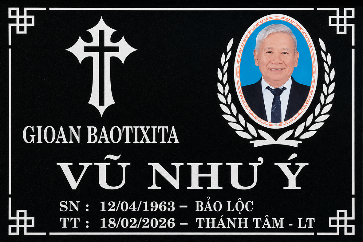 VŨ NHƯ Ý