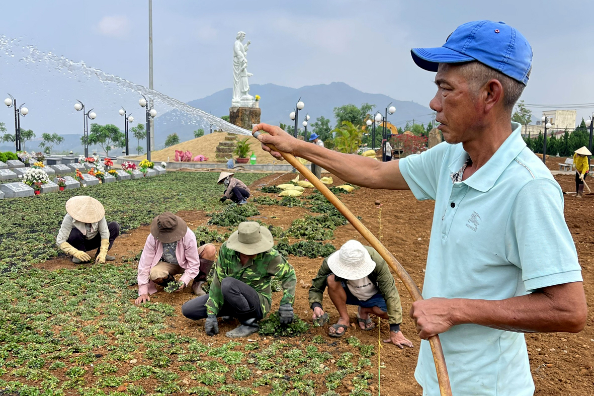 Hình ảnh xây thêm huyệt mới và trồng cỏ lại trong khu A - Nghĩa trang Thánh Tâm