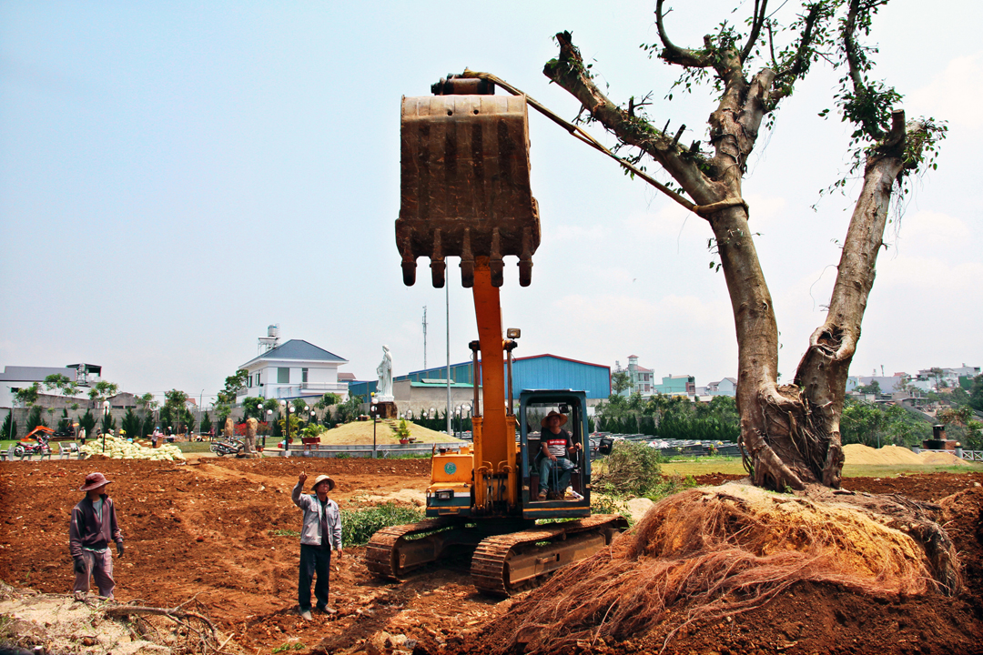 Hình ảnh xây thêm huyệt mới và trồng cỏ lại trong khu A - Nghĩa trang Thánh Tâm