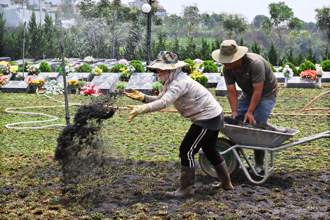 Hình ảnh xây thêm huyệt mới và trồng cỏ lại trong khu A - Nghĩa trang Thánh Tâm