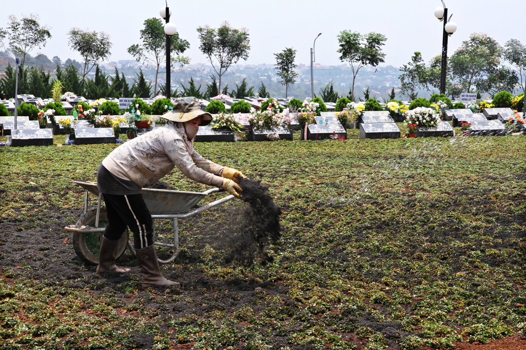 Hình ảnh xây thêm huyệt mới và trồng cỏ lại trong khu A - Nghĩa trang Thánh Tâm